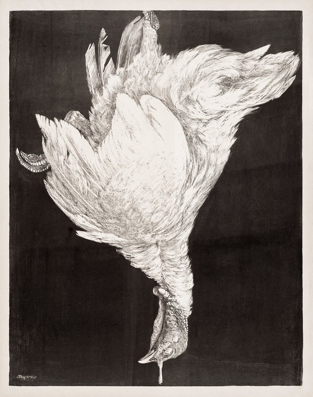 Doode Kalkoen (ca. 1874&ndash;1917) print in high resolution by Theo van Hoytema. Original from The Rijksmuseum. Digitally…