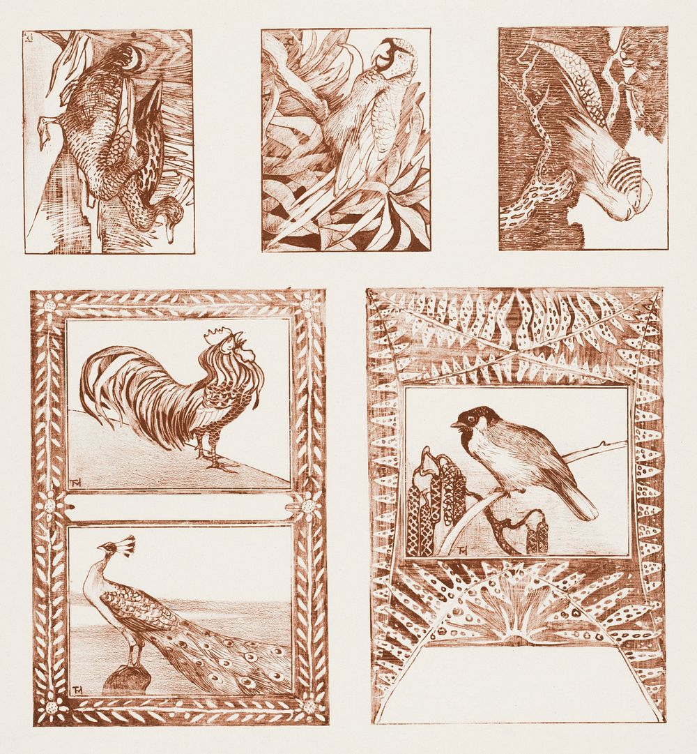 Proefblad voor briefkaarten met vogels (1878&ndash;1917) print in high resolution by Theo van Hoytema. Original from The…