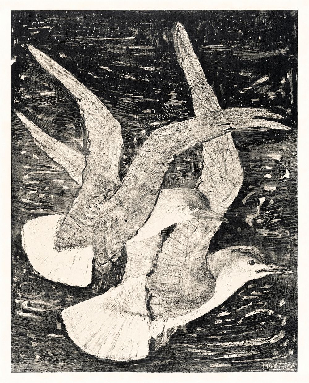 Twee vliegende meeuwen (1873&ndash;1917) print in high resolution by Theo van Hoytema. Original from The Rijksmuseum.…