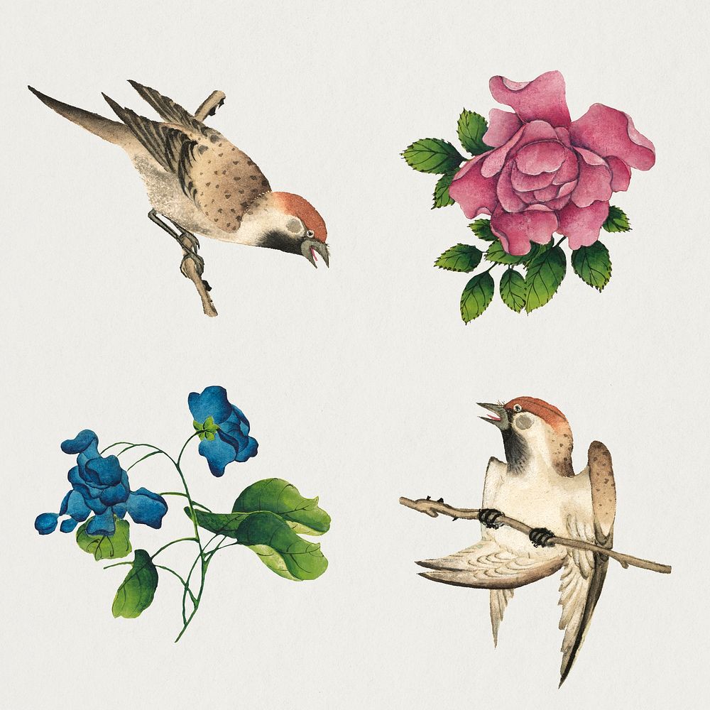 Vintage Chinese flower and bird  set, remix from artworks by Zhang Ruoai