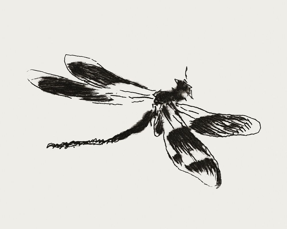 Dragonfly, plate 1 from Le Fleuve (1874) print in high resolution by &Eacute;douard Manet. Original from The Art Institute…