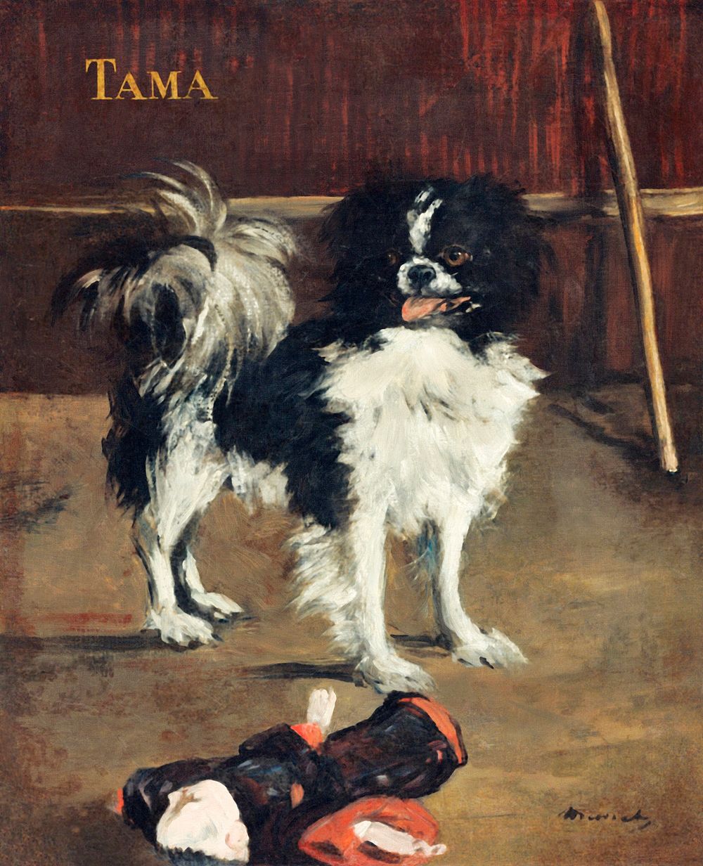 Tama, the Japanese Dog (c.1875) painting in high resolution by Edouard Manet. Original from National Gallery of Art.…