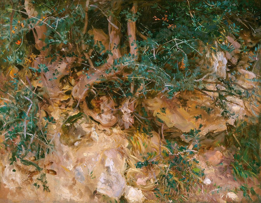 Valdemosa, Majorca: Thistles and Herbage on a Hillside (1908) by John Singer Sargent. Original from The National Gallery of…