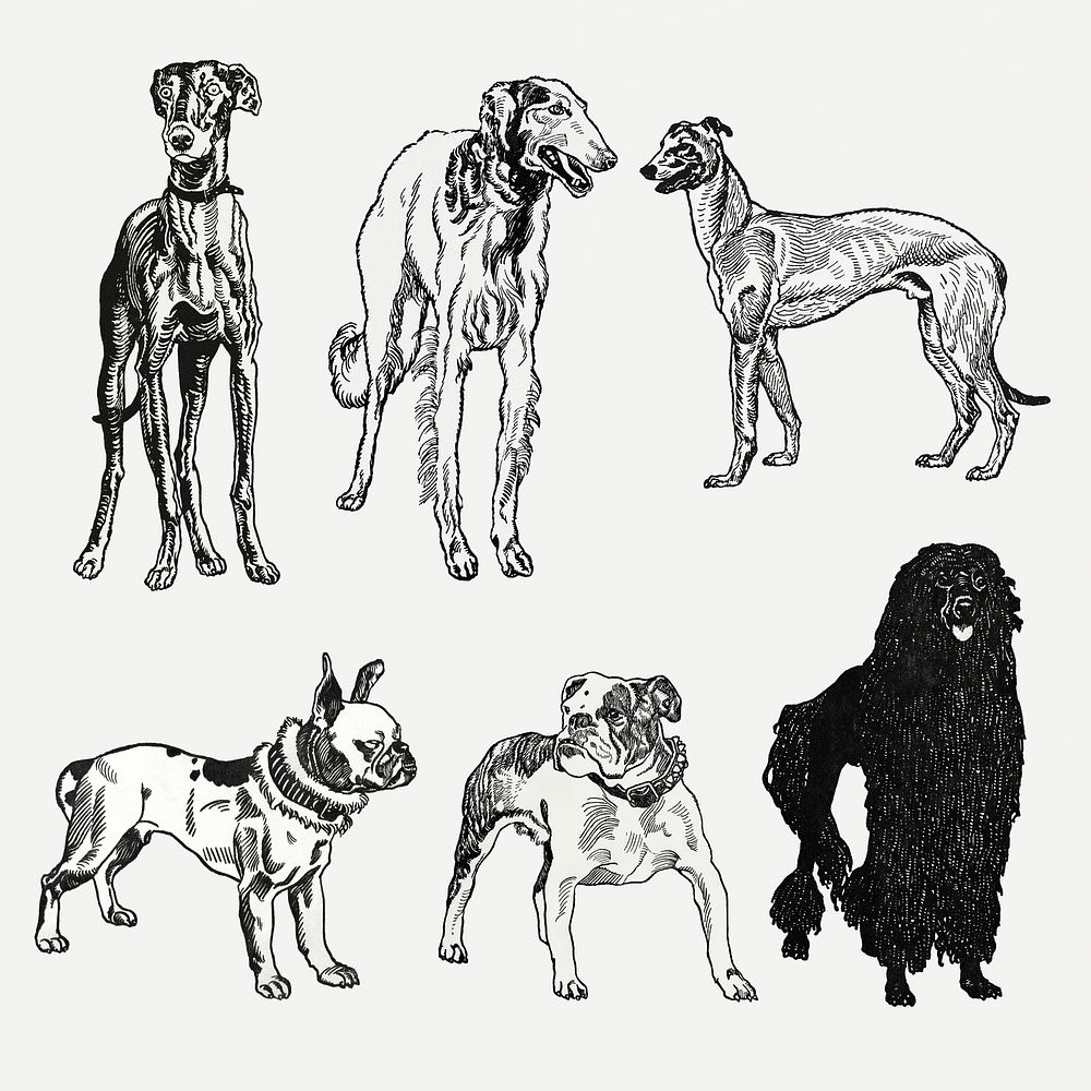 Vintage dog breed art print psd set, remixed from artworks by Moriz Jung