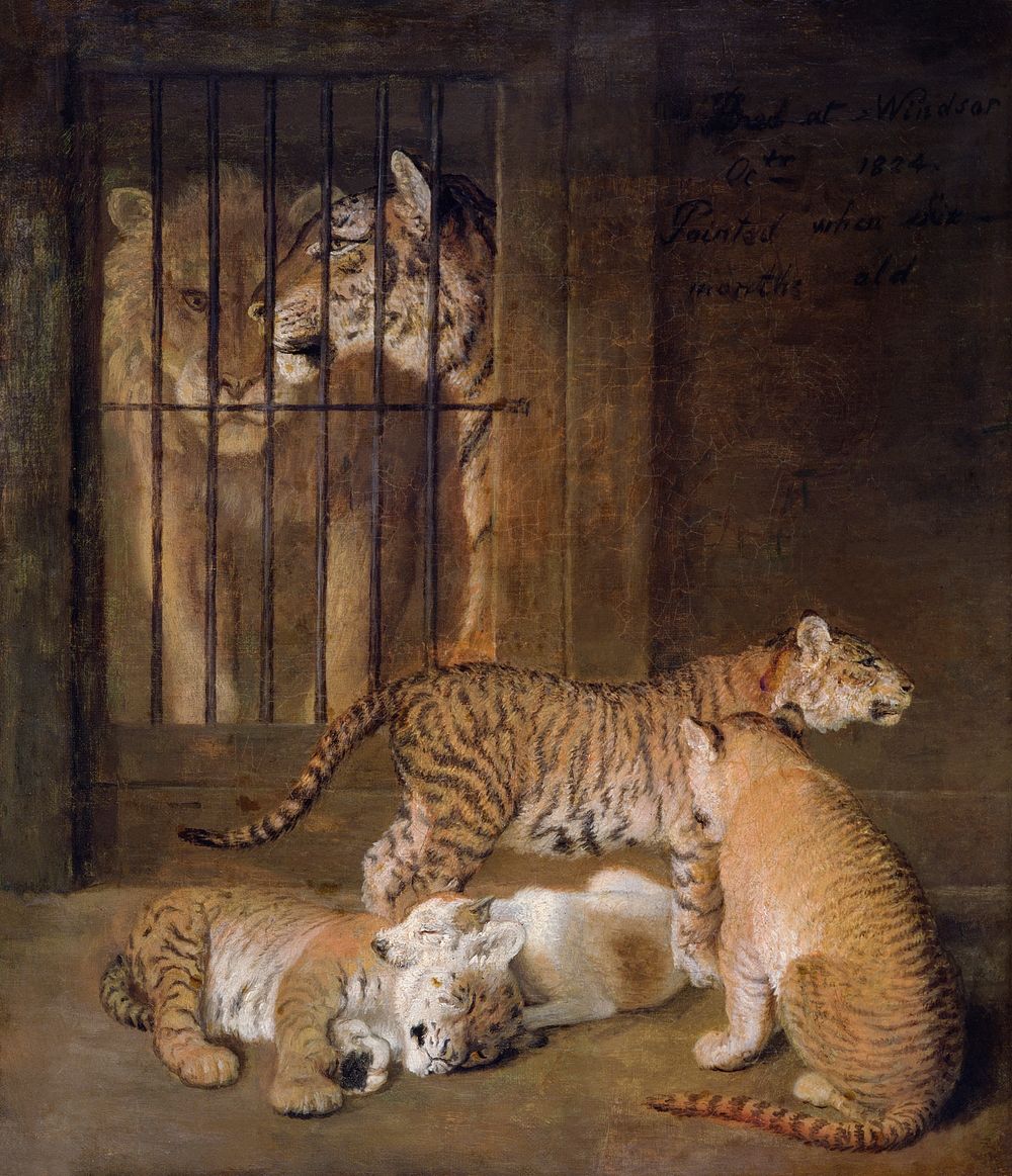 Group of Whelps Bred between a Lion and a Tigress (1825) painting in high resolution by Jacques&ndash;Laurent Agasse.…