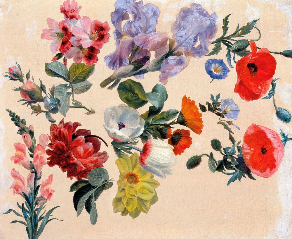 Studies of Summer Flowers (ca. 1848) painting in high resolution by Jacques&ndash;Laurent Agasse. Original from The Yale…