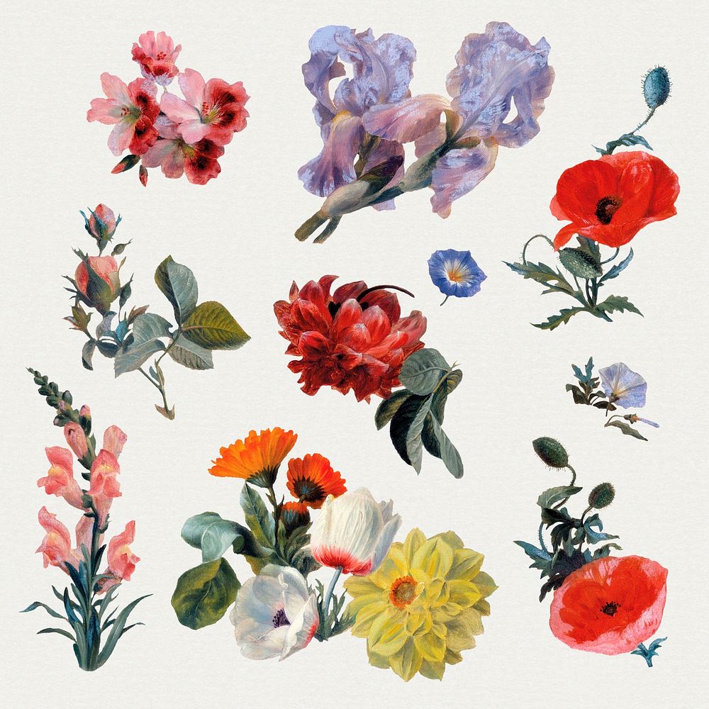 Summer flower psd set in vintage hand drawn style, remixed from artworks by Jacques-Laurent Agasse