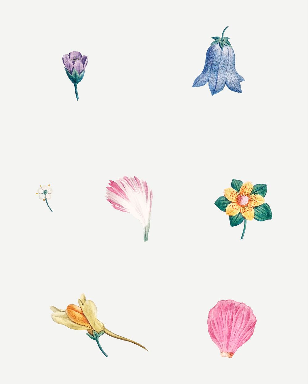 Vintage flowers set vector