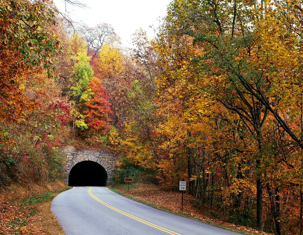 Tunnel on North Carolina's Blue Ridge Parkway. Original image from Carol M. Highsmith&rsquo;s America, Library of Congress…