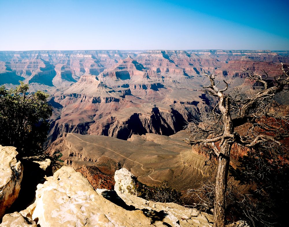 Grand Canyon Panorama. Old Mammoth Road. Original image from Carol M. Highsmith&rsquo;s America, Library of Congress…