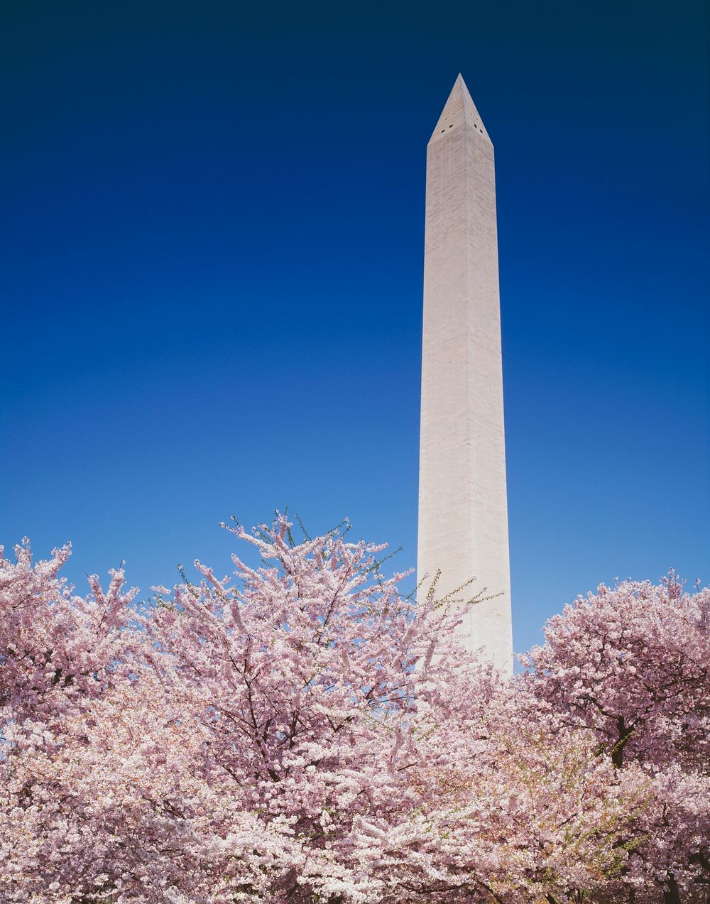 The Washington Monument in Washington, D.C. Original image from Carol M. Highsmith&rsquo;s America, Library of Congress…