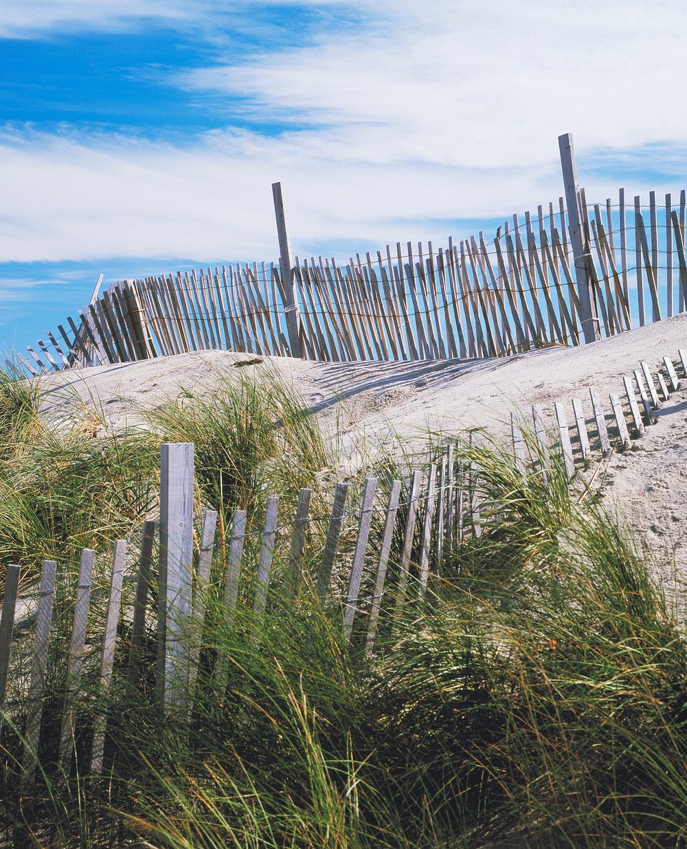 Dunes and Fence, Cape Hatteras, North Carolina. Original image from Carol M. Highsmith&rsquo;s America, Library of Congress…