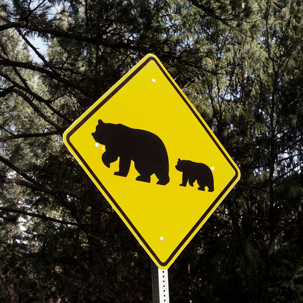 One of what are fairly common bear-crossing signs in California's Sierra Mountains. Original image from Carol M.…