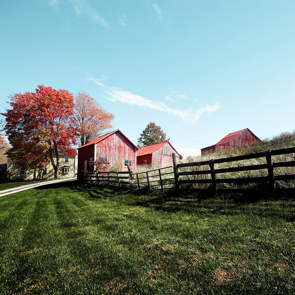 Grouping of small barns in this Monroe County, West Virginia, autumnal rural scene. Original image from Carol M.…