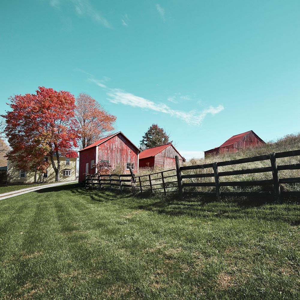 Grouping of small barns in this Monroe County, West Virginia, autumnal rural scene. Original image from Carol M.…