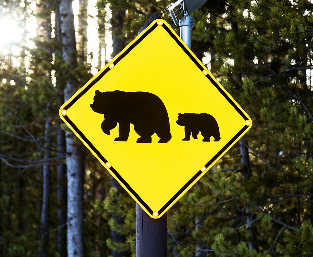 Buffalo-crossing sign in the vast Wyoming portion of Yellowstone National Park. Original image from Carol M.…