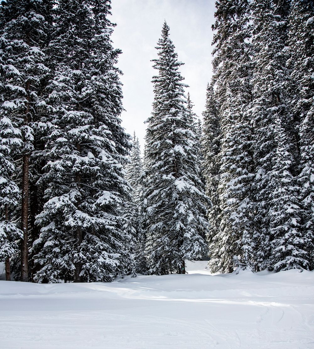 Copper Mountain Ski Resort, near the town of Frisco in Summit County, Colorado - Original image from Carol M.…
