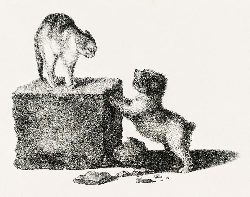 Illustration of a domestic cat and a playful puppy by Gottfried Mind (1768-1814). Original from Library of Congress.…