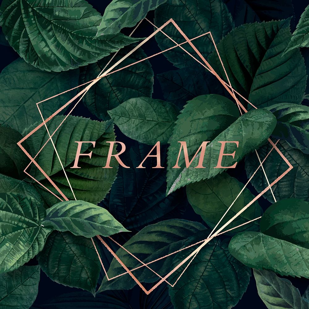 Rhombus frame on a leafy background vector