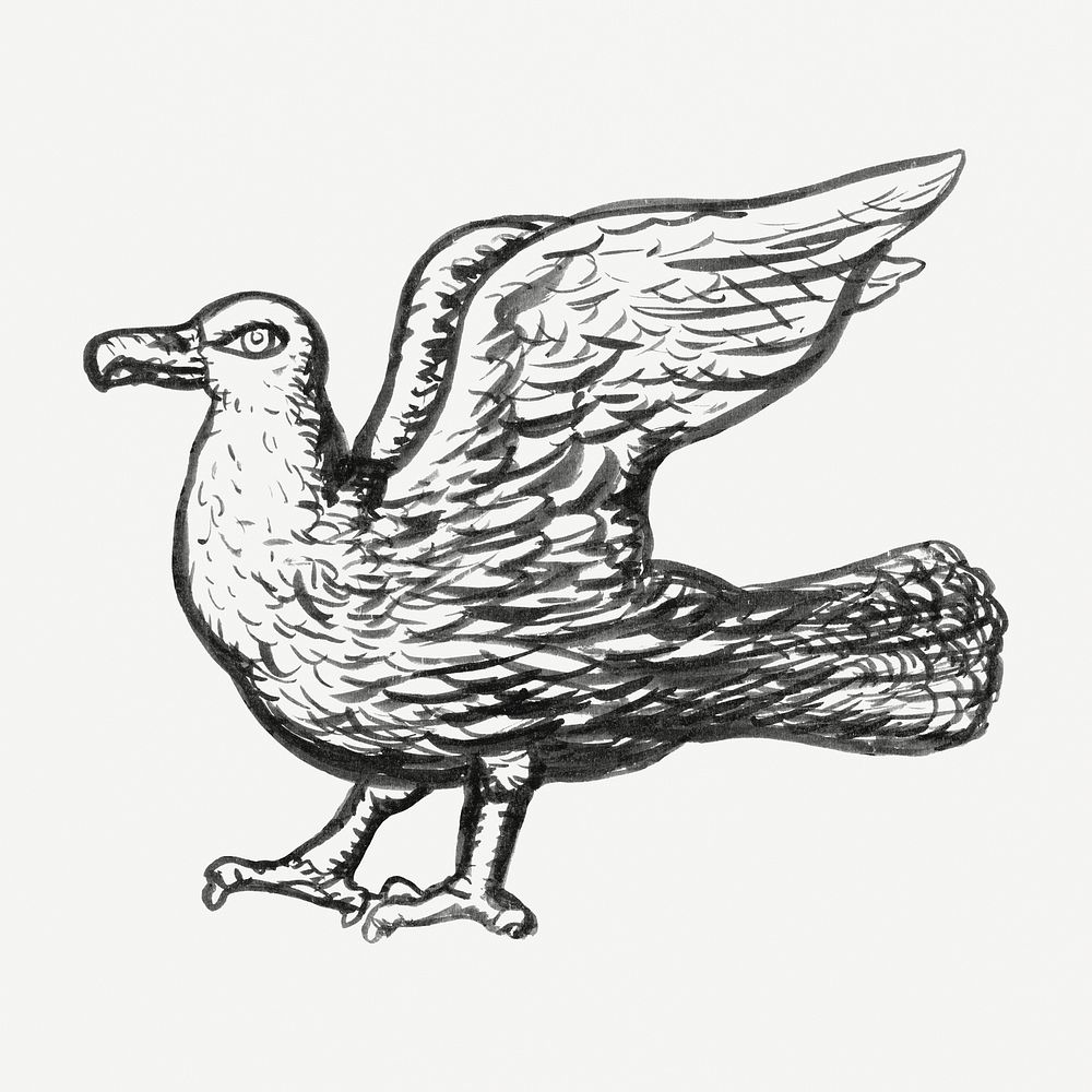 Gull psd vintage drawing, remixed from artworks from Leo Gestel