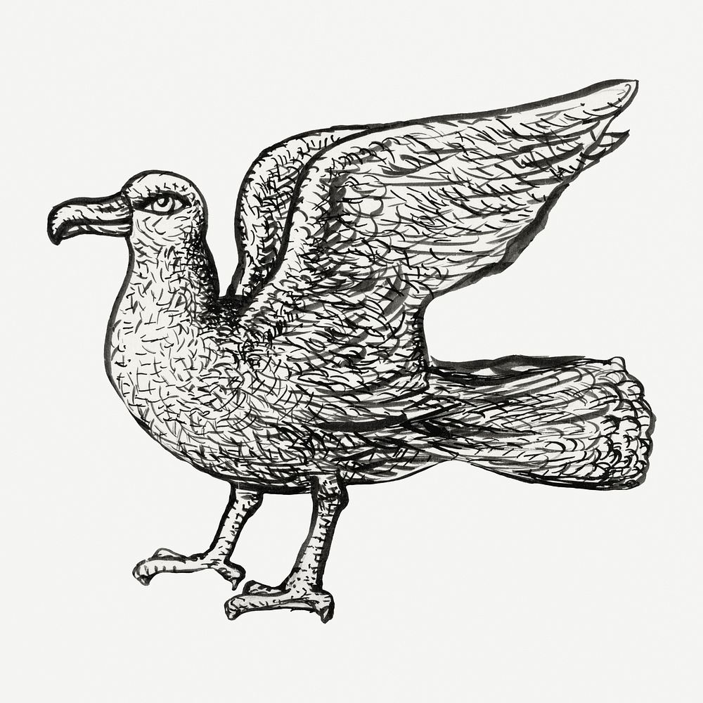 Vintage gull psd hand drawn illustration, remixed from artworks from Leo Gestel