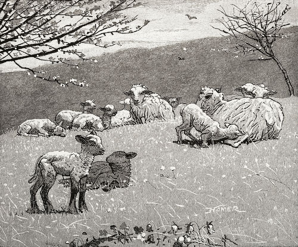 Spring Lamb (1880) by Winslow Homer. Original from Cleveland Art. Digitally enhanced by rawpixel.