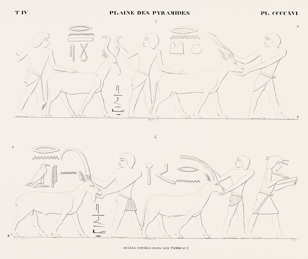 Vintage illustration of Scenes copied from the tombs from Monuments de l'&Eacute;gypte et de la Nubie.