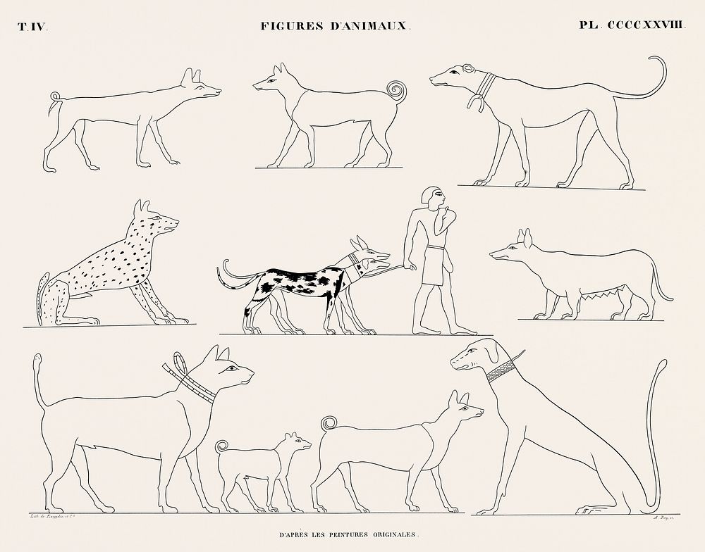 Vintage illustration of Animal figures