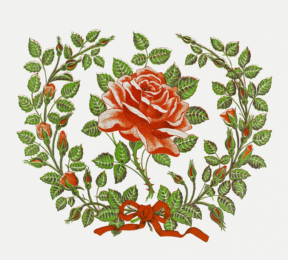 Antique wreath illustration of blooming red rose with leaves and red ribbon