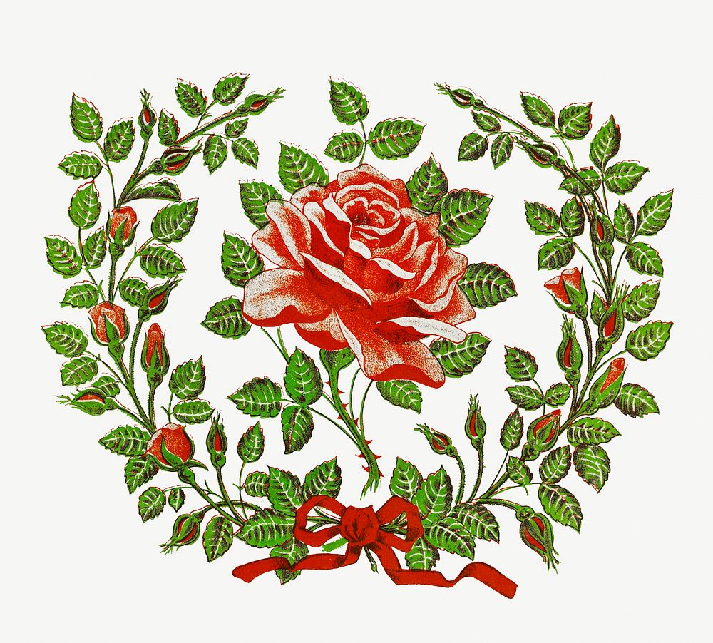 The first rose of summer from The Miriam and Ira D. Wallach Division Of Art, Prints and Photographs: Picture Collection…