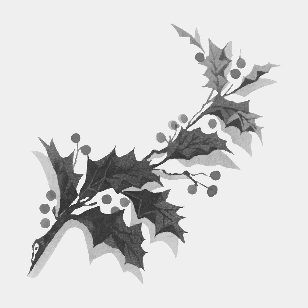 Vintage holly branch vector for a Christmas card