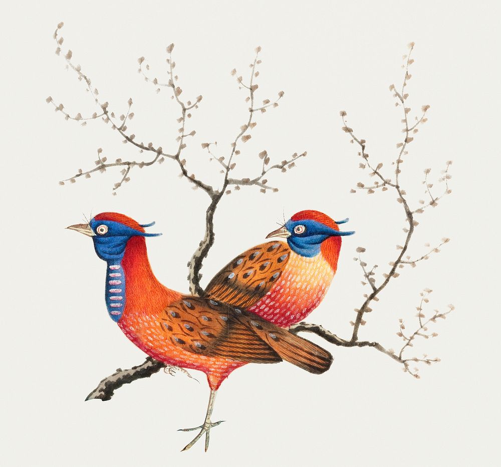 Chinese painting featuring two pheasant-like birds with flowering plants.