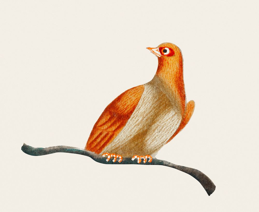 Chinese painting of a bird.