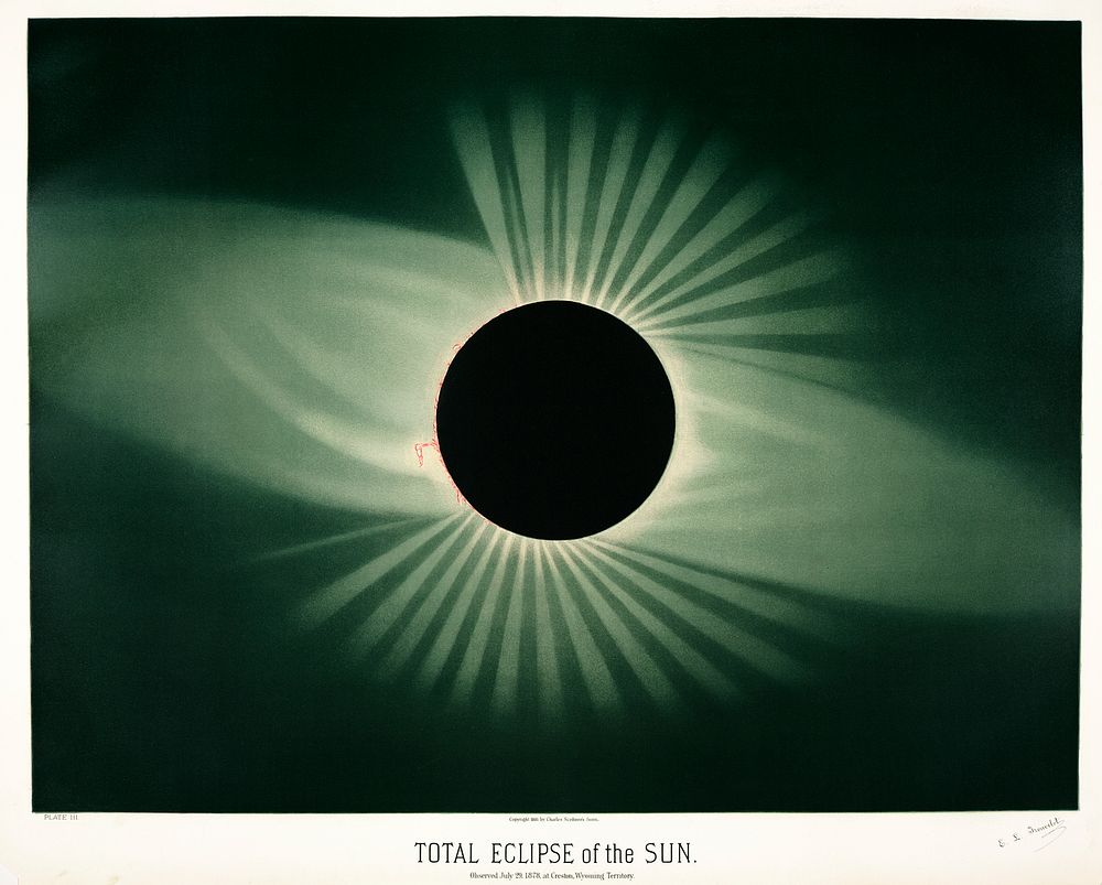 Total eclipse of the sun from the Trouvelotastronomical drawings (1881-1882) by E. L. Trouvelot (1827-1895)
