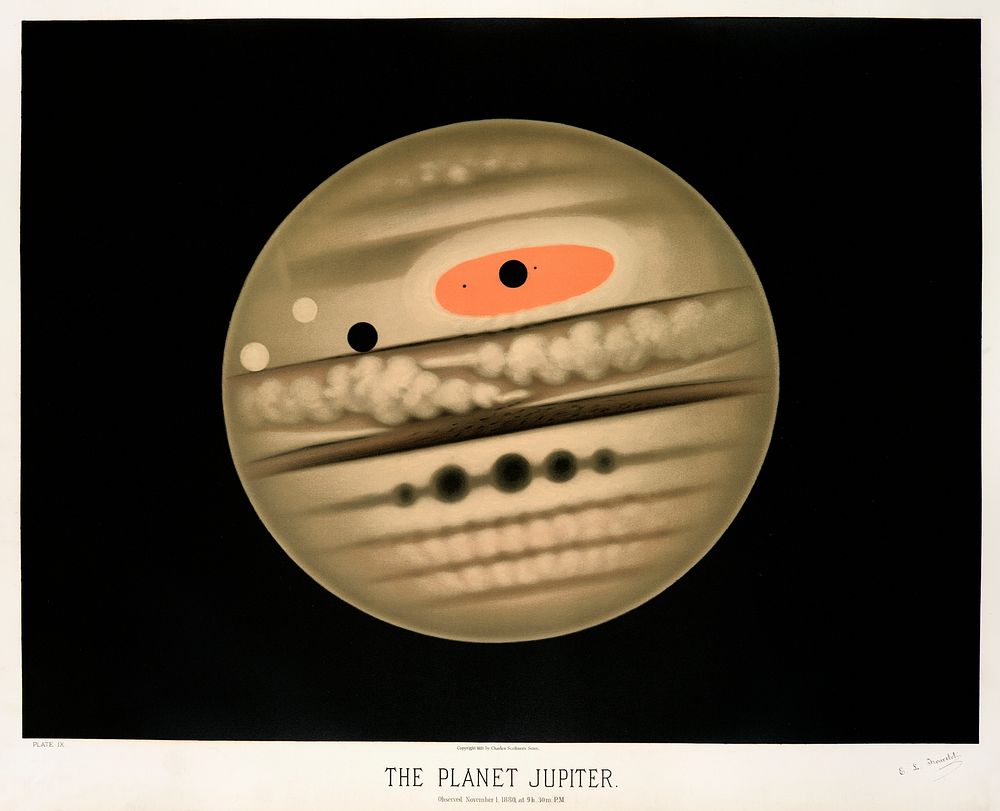 The planet Jupiter from the Trouvelot
astronomical drawings (1881-1882) by E. L. Trouvelot (1827-1895). Original from The New…