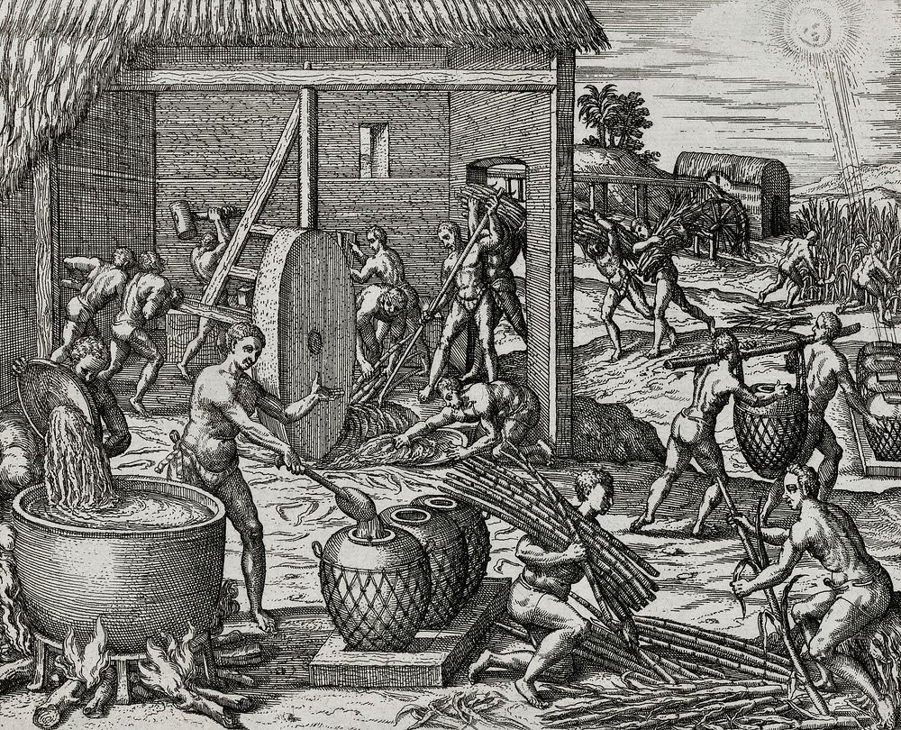 Local indians making sugar in America illustration from Grand voyages (1596) by Theodor de Bry (1528-1598). Original from…