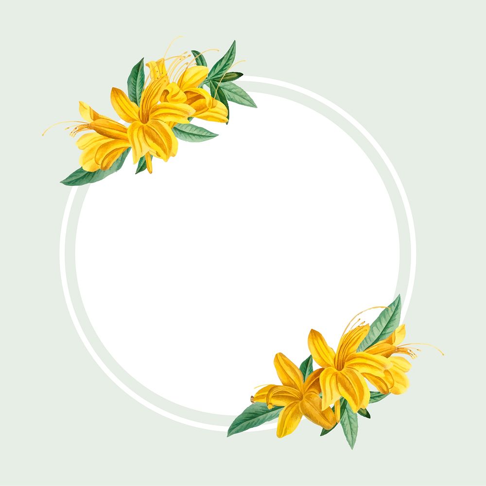 Vintage rhododendron flavum on a frame vector