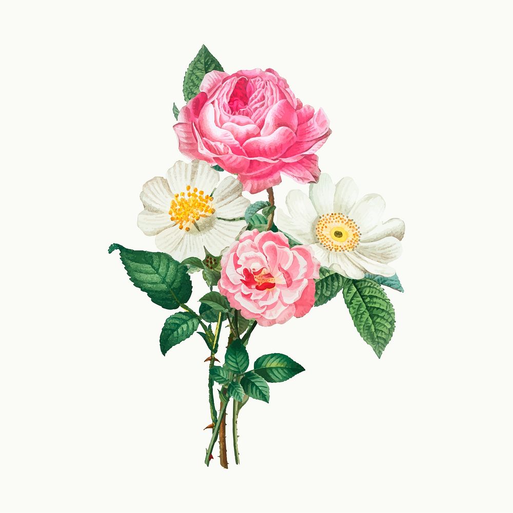 Vintage pink and white roses vector