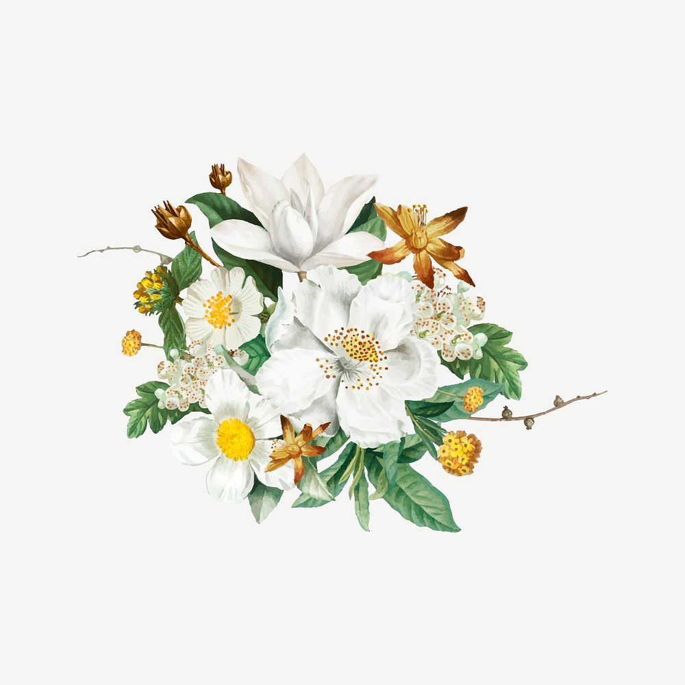 Blooming vintage mountain camellia vector