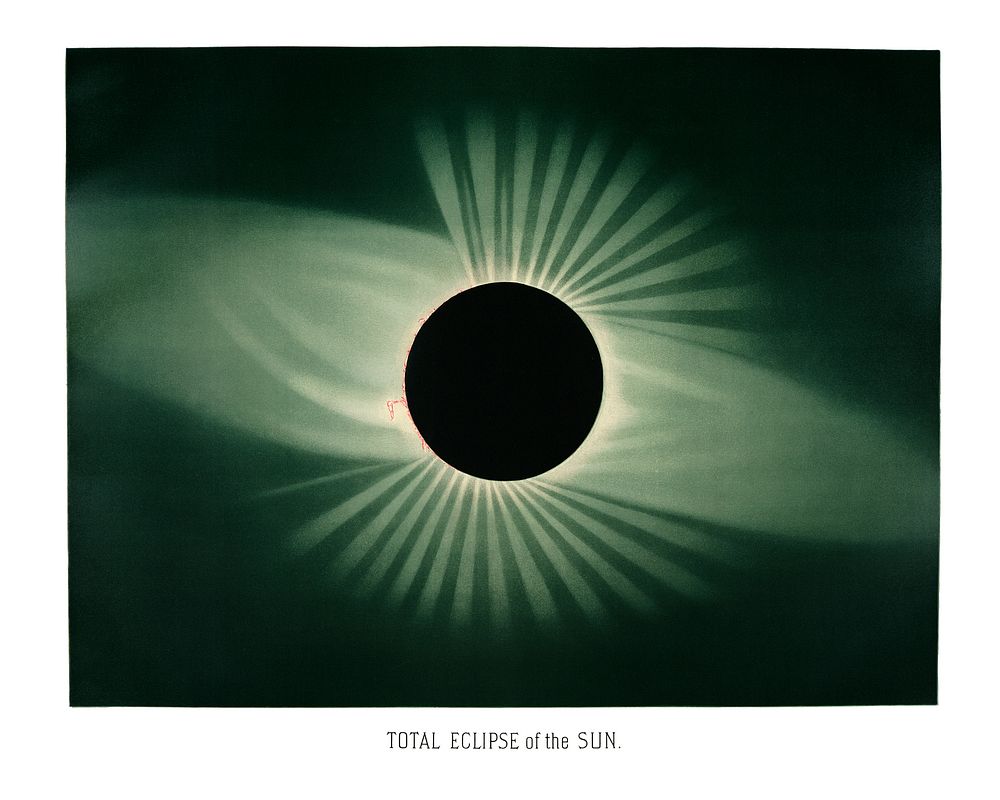 Total eclipse of the sun from the Trouvelot illustration wall art print and poster.