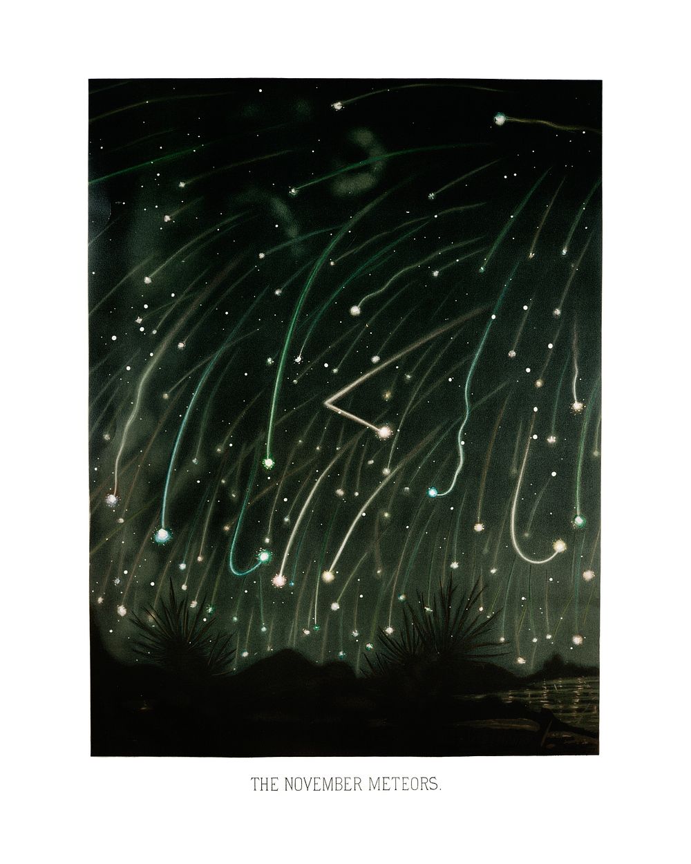 The November meteors from the Trovelot illustration wall art print and poster.