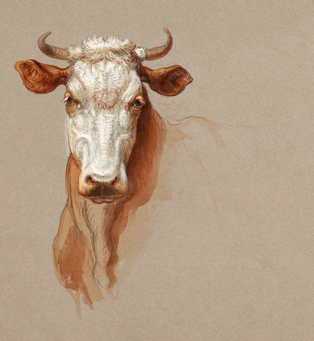 Two Studies of Cattle (1876) by Samuel Colman. Original from The Smithsonian Institution. Digitally enhanced by rawpixel.