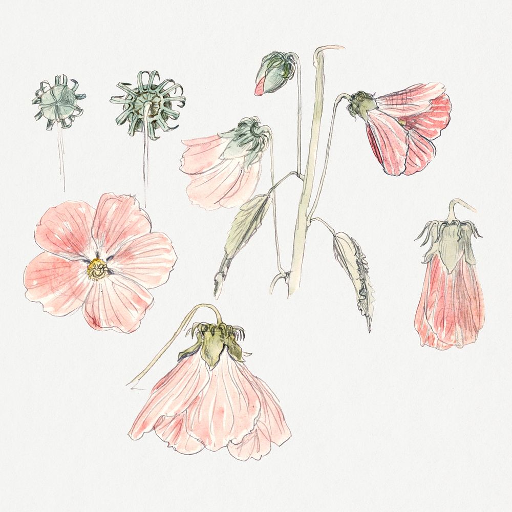 Vintage flower psd hand drawn style collection, remixed from artworks by Samuel Colman