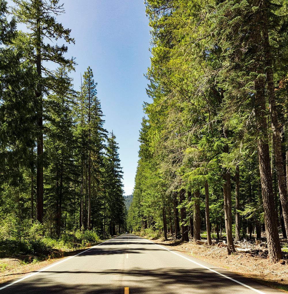 The empty Crater Lake Highway, near Union Creek, Oregon. Original image from Carol M. Highsmith&rsquo;s America. Digitally…