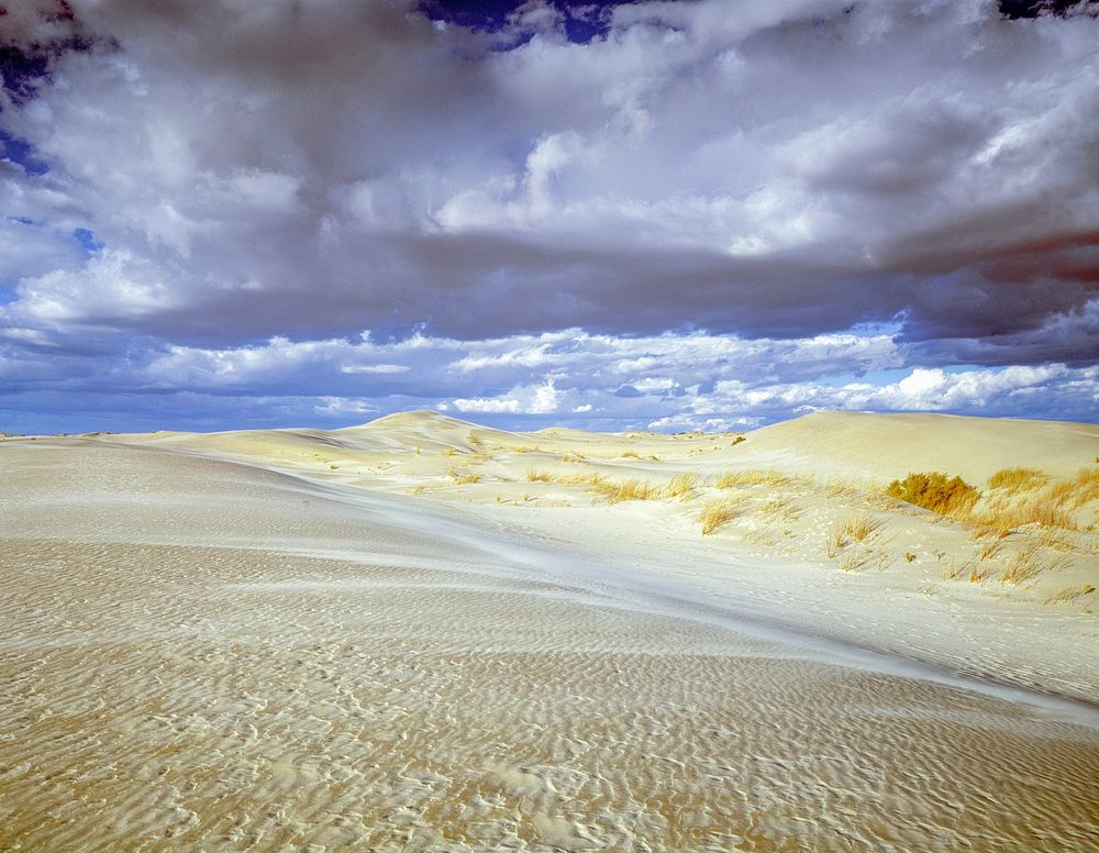 Nebraska Sandhills Dunes. Original image from Carol M. Highsmith&rsquo;s America, Library of Congress collection. Digitally…