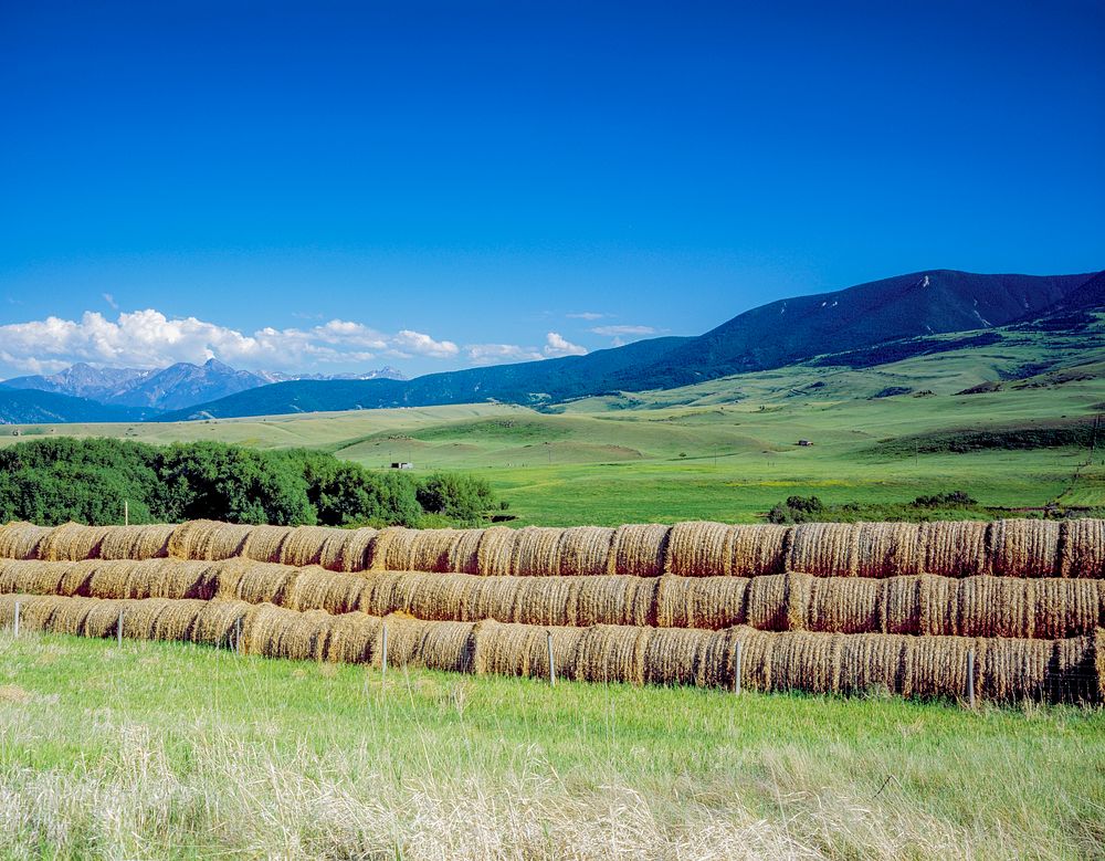 Plenty of hay for the winter at this farm in eastern Montana. Original image from Carol M. Highsmith&rsquo;s America…