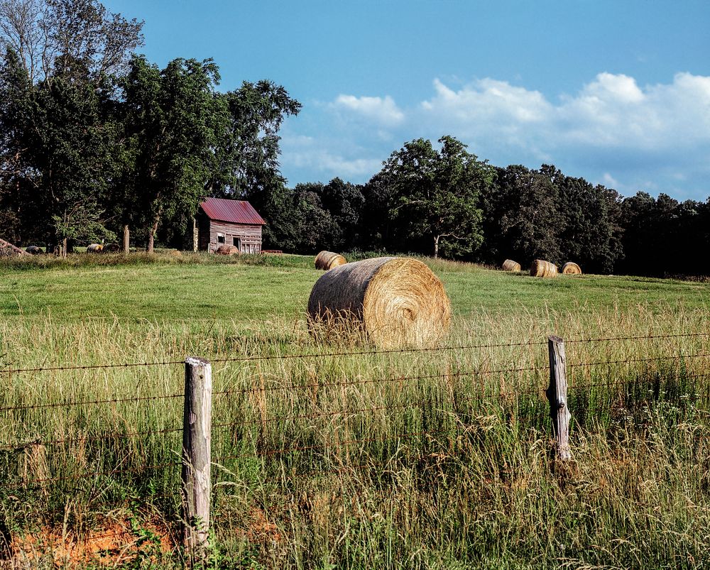 North Carolina rural farm scene. Original image from Carol M. Highsmith&rsquo;s America, Library of Congress collection.…