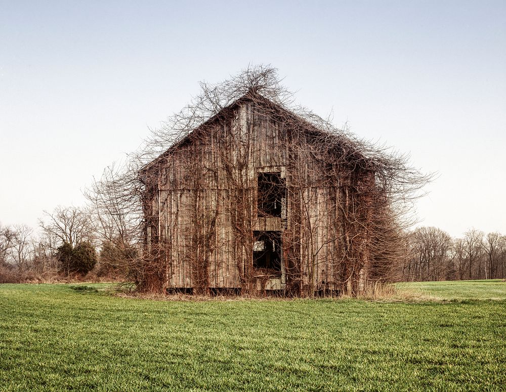 Overgrown barn in rural Maryland. Original image from Carol M. Highsmith&rsquo;s America, Library of Congress collection.…