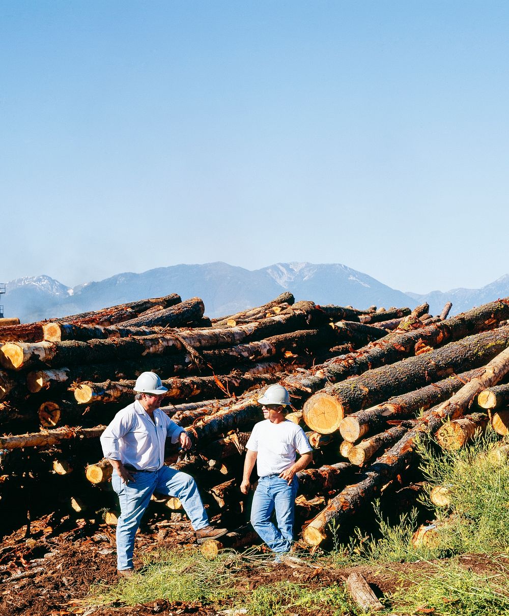 Loggers in Oregon. Original image from Carol M. Highsmith&rsquo;s America, Library of Congress collection. Digitally…