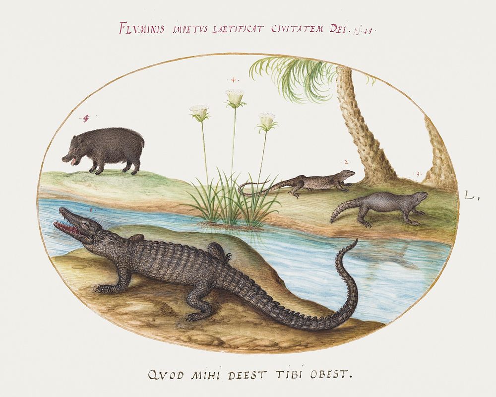 Crocodile, Hippopotamus, and Lizards with a Papyrus Plant (1575&ndash;1580) painting in high resolution by Joris Hoefnagel.…